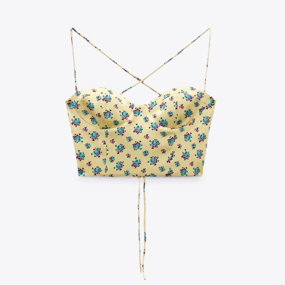 NWT ZARA Floral Crop Top
